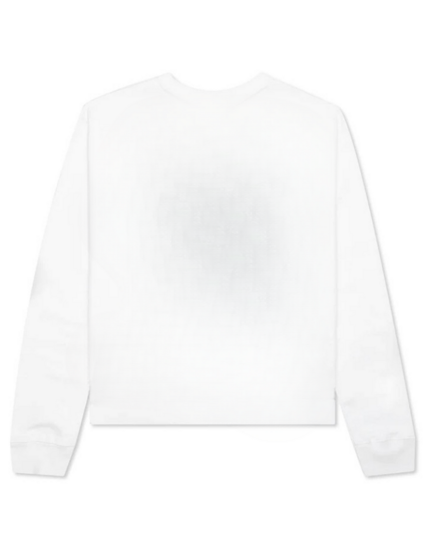 “DANNIS RODMAN” SWEATSHIRT - Amessio